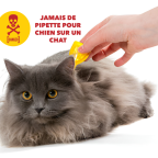 Jamais de Pipette de chien sur un chat