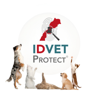 Logo Produit PLATINUM ASSISTANCE+ IDVET PROTECT®